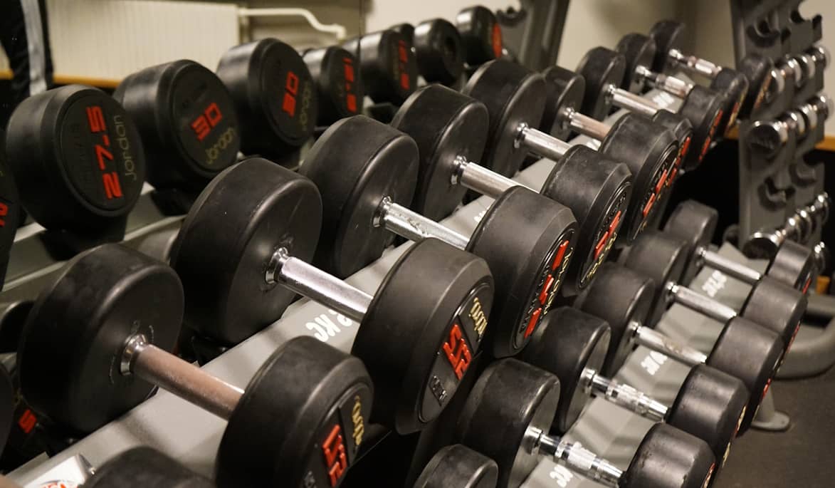 Gym Free Weights Gym Free Weights